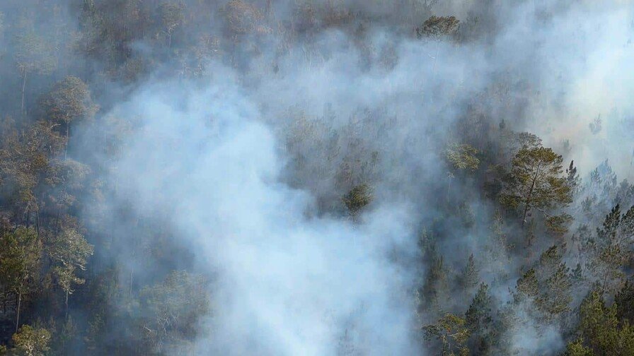 Medio Ambiente intensifica combate de incendio forestal en la Sierra de Bahoruco